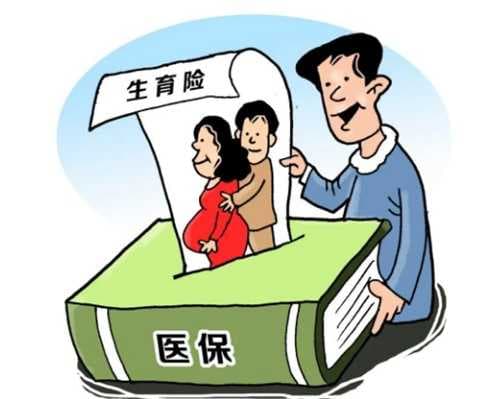 生育险交了6个月能用吗