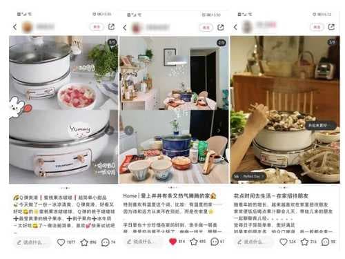 消费观察：解析独占同行业鳌头的德国蓝宝升降火锅如何成为众多明星的心头好？图1
