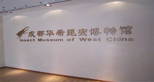 天气开启“焖蒸”模式，克洛斯威壁材拯救我的睡眠！