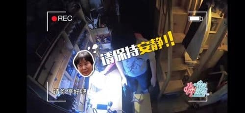 27平米“人虫混住”？《嗨！我的新家》爆改上海老房子秒变昆虫博物馆