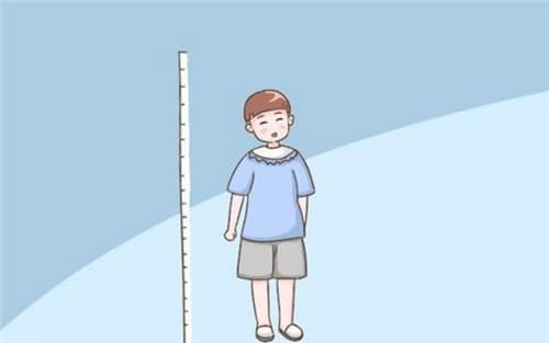 14个月宝宝身高体重标准是多少