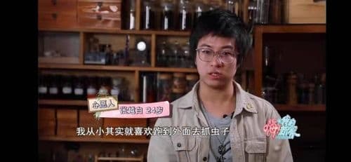 27平米“人虫混住”？《嗨！我的新家》爆改上海老房子秒变昆虫博物馆