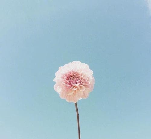 写给长辈的暖心话