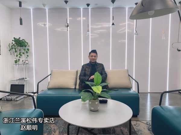携手松伟，抢抓三四级灯饰市场黄金发展机遇