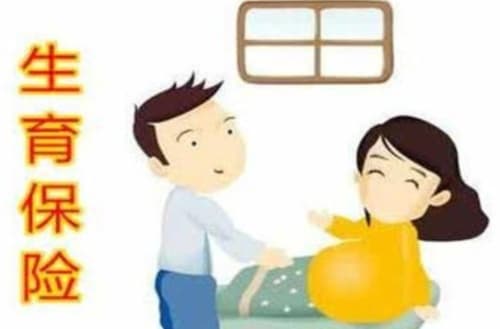 生育险没满一年怎么办