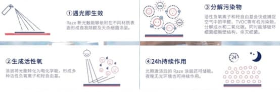 光触媒界的“苹果公司”细数RAZE