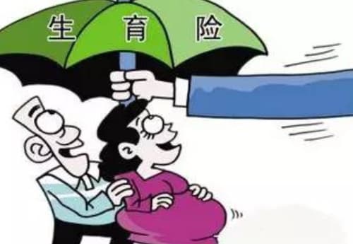 生育险没满一年怎么办
