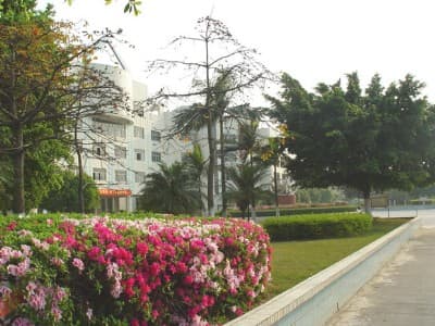 东莞市相关资讯汇总图2