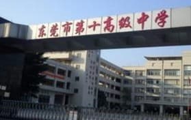 东莞市相关资讯汇总