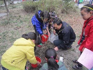 成都市相关资讯汇总