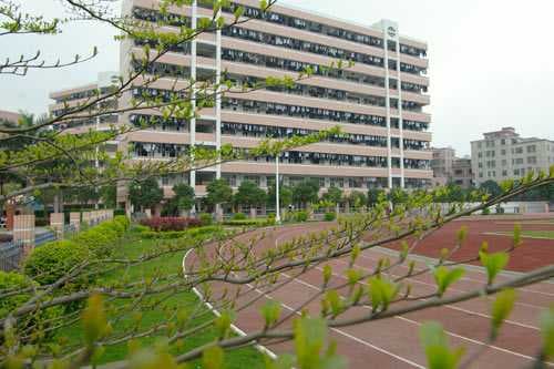 广州市相关资讯汇总