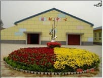 石家庄相关资讯汇总