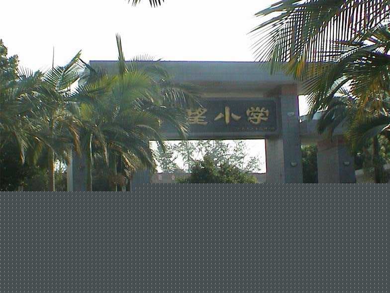 深圳市相关资讯汇总