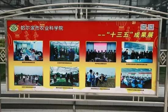 哈尔滨相关资讯汇总