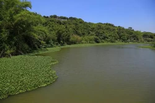 青草湖