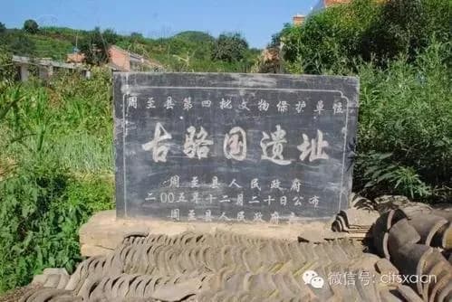 骆家岗遗址