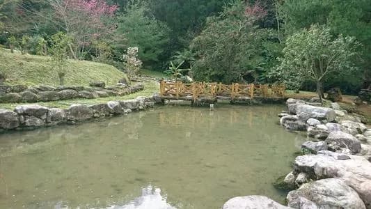 金鸟海族乐园