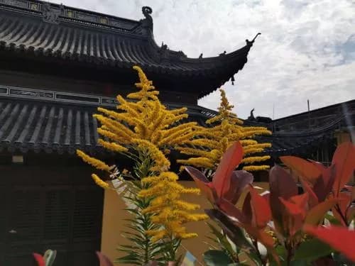 玉祁凤阜寺