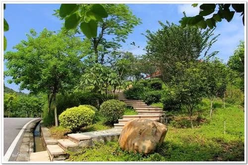 黄山森林公园