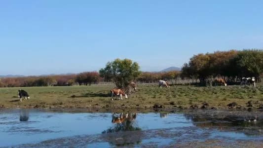 乌齐里克河源国家湿地公园