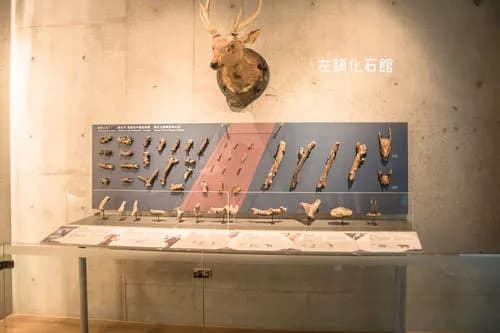 左镇化石博物馆