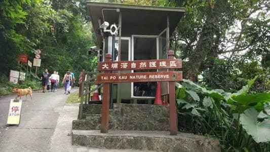 大埔滘自然护理区