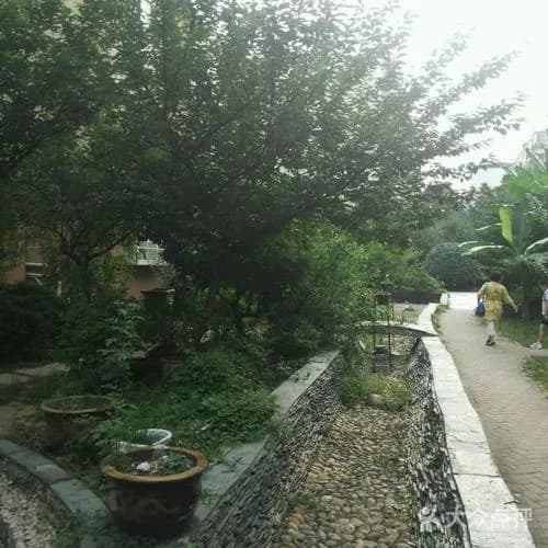 绿萝植物园