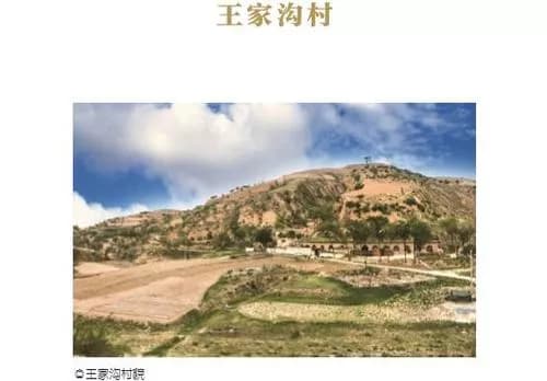 古交王家沟遗址