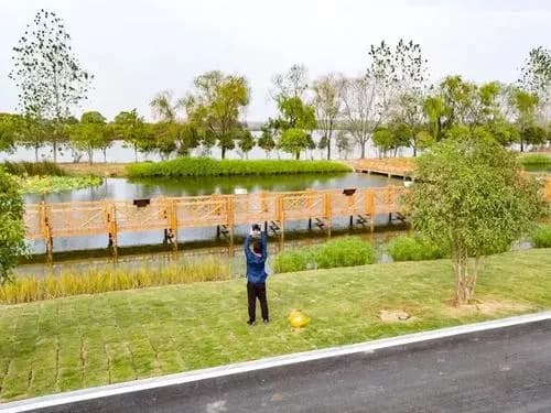 杜公湖湿地公园
