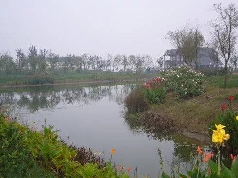 葫芦岛龙兴国家湿地公园