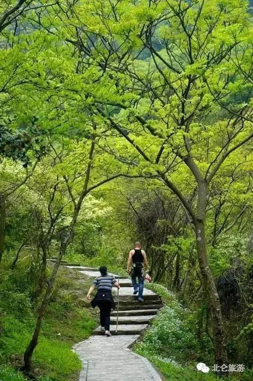 里外峰岭森林步道