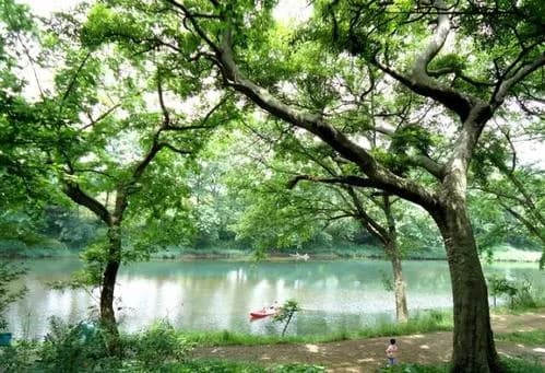 晴江岸