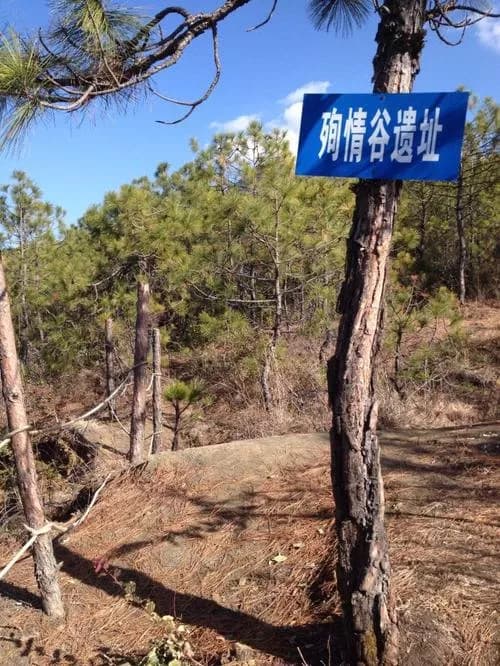 云杉坪(殉情谷)