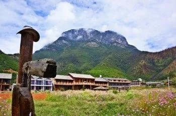 尼赛村