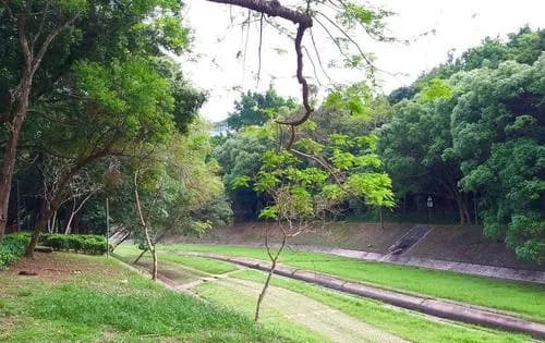 梅树坑公园