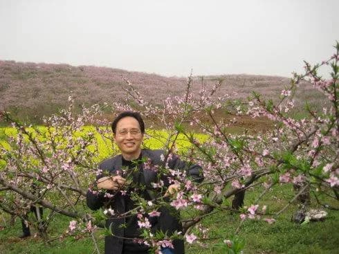 枝江万亩桃花园