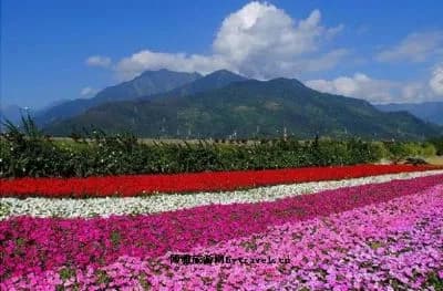 花东纵谷