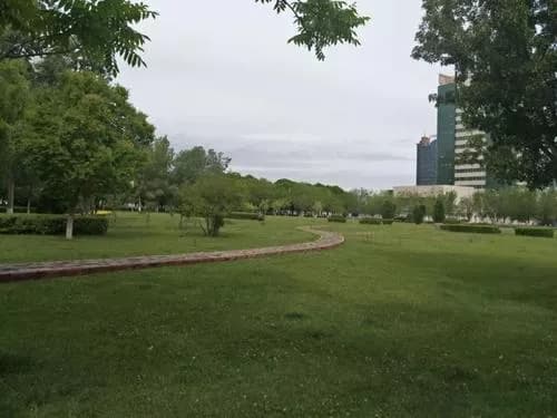 独山子植物园