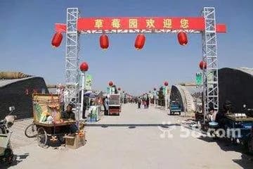 范台生态园草莓园