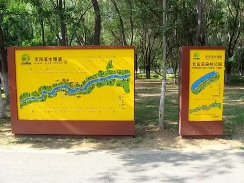 长白岛森林公园