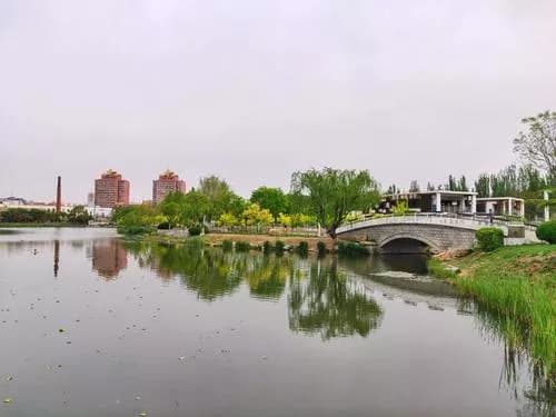 大连向应公园