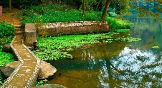 沈阳绿岛森林公园
