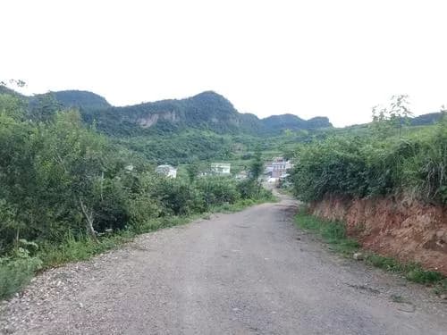 金家大山