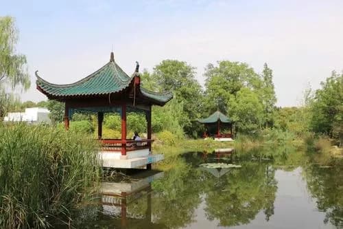 琴台公园