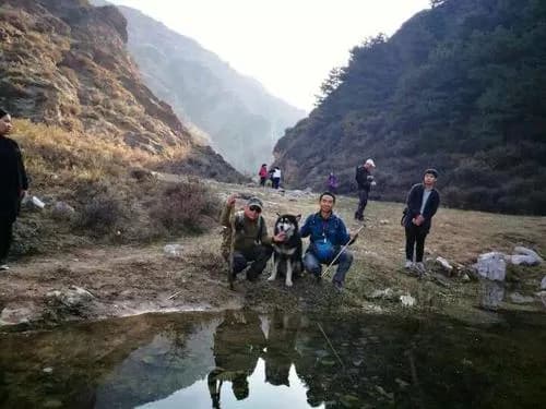 苍龙山原始森林公园