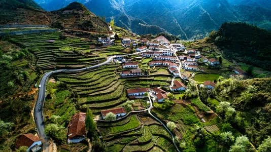 玉山
