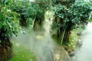 南京植物博览园