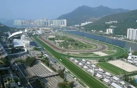 沙田马场