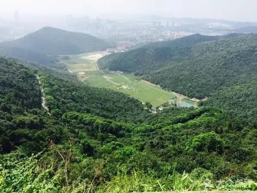惠山国家森林公园
