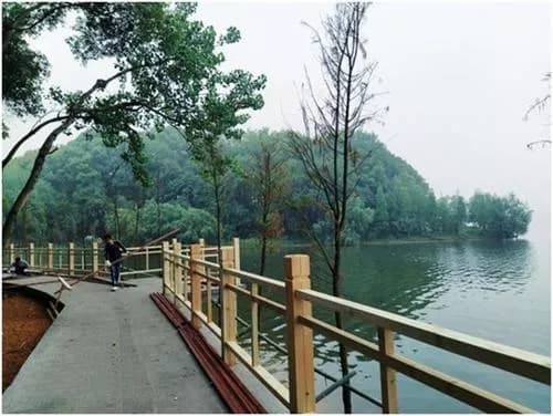 岳阳南湖公园